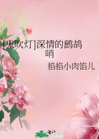 深情眼24集全集免费观看